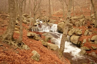 Cascada otoñal en el Montseny
