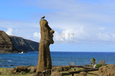 鸟类,亚虎同卡瑞奇,考古学,莫阿尼雕塑群,太平洋,秃鹰,复活节岛 ,智利,动物头,栖息