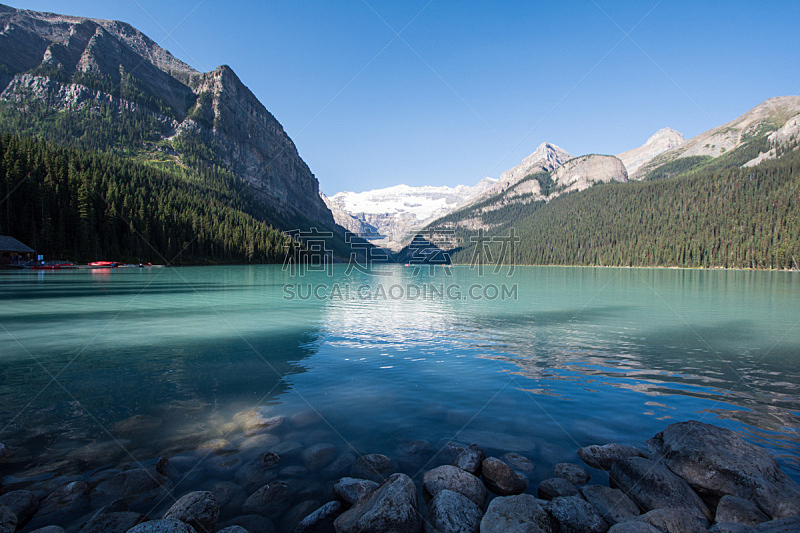 阿尔伯塔省,加拿大,水,班夫国家公园,彩色图片,中间,水鸭,露易斯湖,早晨,加拿大落基山脉