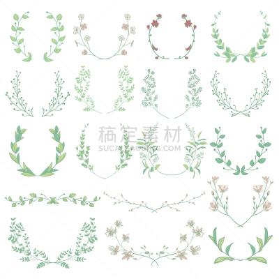 月桂花冠,托架,枝,草本,植物群,分线规,花环,环境保护,婚礼,绘画插图