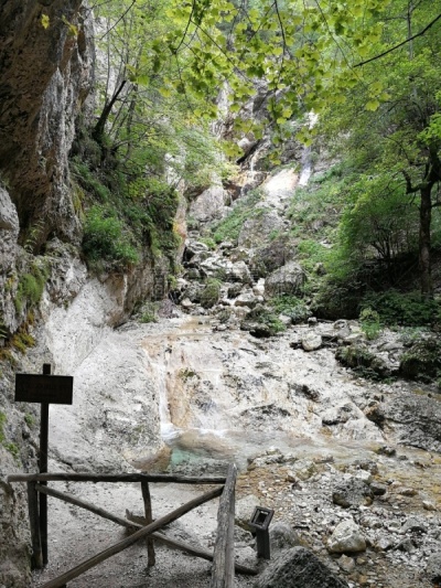 阿布鲁佐国家公园,垂直画幅,图像,野生动物保护区,树林,小路,水,罗神,瀑布,户外