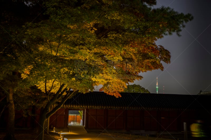 夜晚,昌庆宫,热情,午夜,世界遗产,交通,韩国,朝鲜半岛,户外,建筑