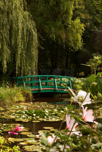 莫奈基金会,睡莲,贞德,吉凡尼,垂直画幅,水,旅行者,户外,涂料,植物