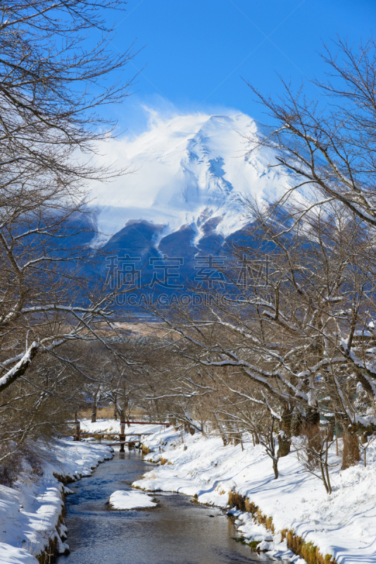 吉野,冬天,富士山,山,富士箱根伊豆国立公园,茅屋屋顶,山梨县,城镇景观,垂直画幅,美