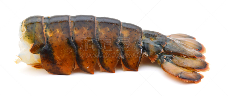 白色背景,龙虾尾,肉,卷着的,生食,海产,透明,健康食物,饮食,食品