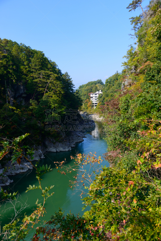 秋天,自然,垂直画幅,高视角,长野县,无人,日本,户外,著名景点,风景