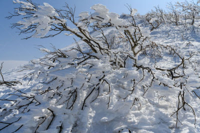 雪,有包装的,冰,自然,万代山,风景,图像,福岛县,春天,无人