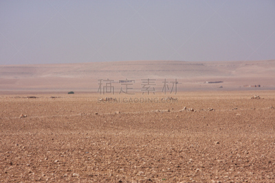 沙漠,褐色,水平画幅,沙子,无人,夏天,户外,北非,石材,西撒哈拉沙漠