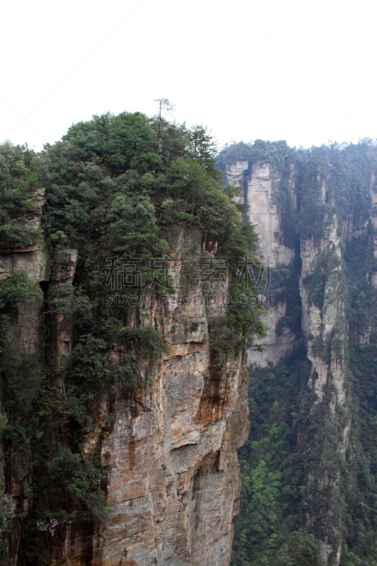 天子山,地形,张家界国家森林公园,湖南省,垂直画幅,褐色,山,岩石,地质学,无人