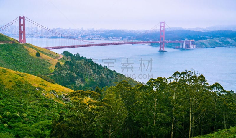 侧面视角,森林,桥山壁,海岸地形,旧金山,国际著名景点,加利福尼亚,公园,草