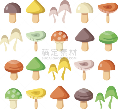 蘑菇,矢量,平坦的,计算机图标,食用菌,伞形毒菌,鸡油菌,牡蛎,背景分离,木制