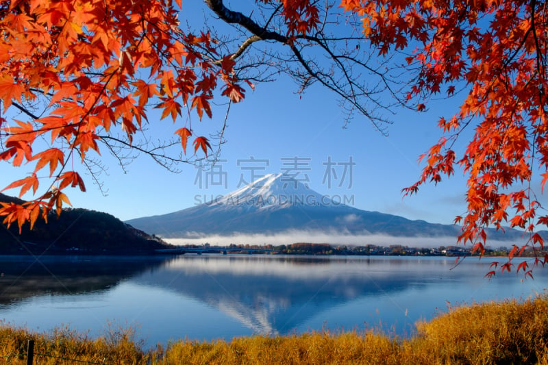 富士山,河口湖,山,叶子,秋天,富士河口湖,鸡爪枫,水,里山,水平画幅