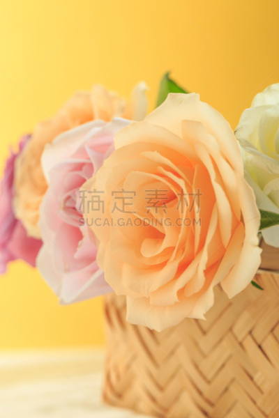 玫瑰,自然美,芳香的,贺卡,浪漫,蔷薇科,植物,背景,节日,礼物