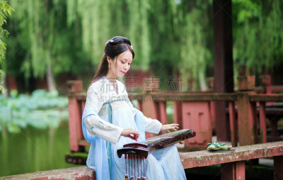 古琴,女人,进行中,湖,音乐,肖像,生活方式,图像,荷花,传统服装