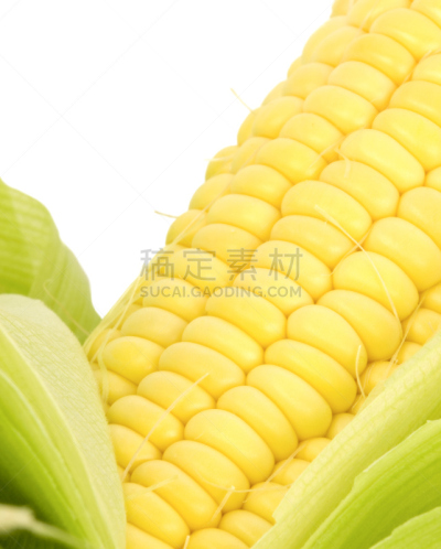 玉米,特写,自然,垂直画幅,绿色,无人,外壳,生食,白色背景,熟的