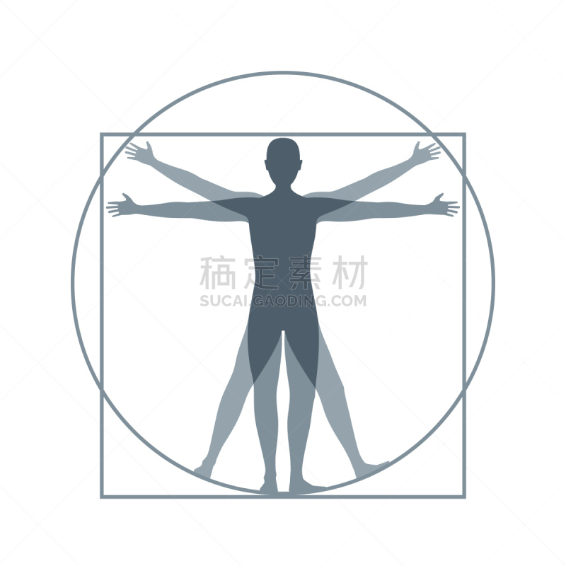 卡通,矢量,维特鲁威人,四肢,形状,绘画插图,符号,艺术品,科学