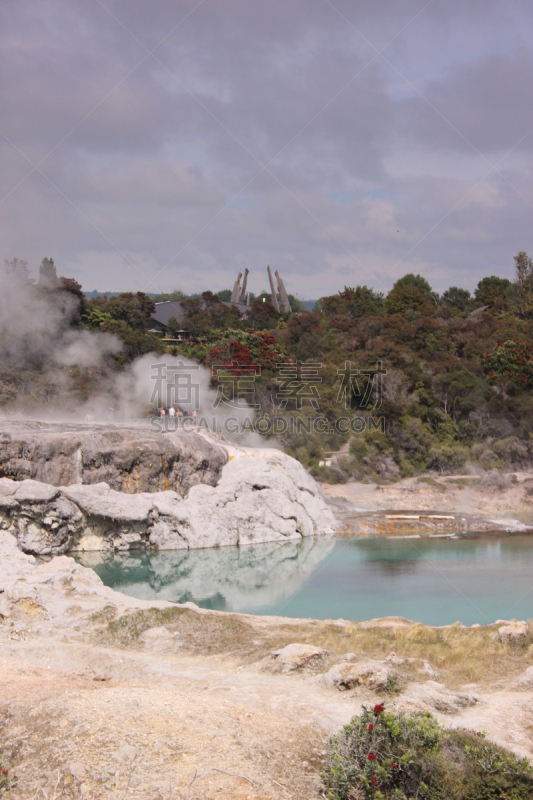 华卡雷瓦雷瓦温泉公园,华卡雷瓦雷瓦,乡村,垂直画幅,旅游目的地,无人,新西兰北岛,户外,新西兰,2015年