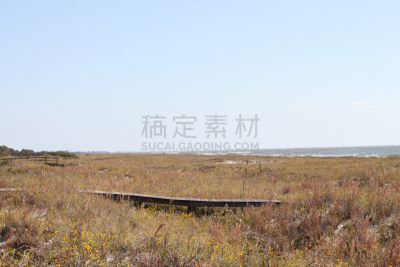 科瓦希岛,南卡罗来那,barrier islands,查尔斯顿,木板路,美国,旅游目的地,水平画幅,大西洋,旅行者