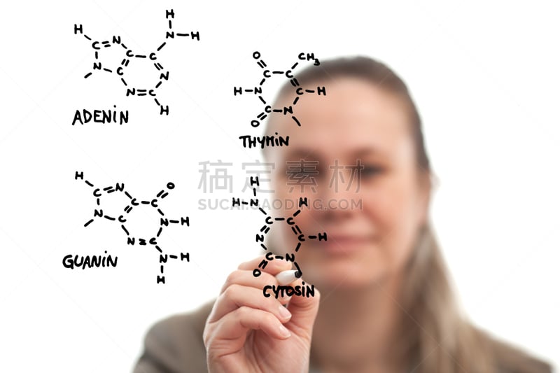 分子结构,生物学家,在底端,生物科技,化学课,水平画幅,化学家,科学,生物学,图像