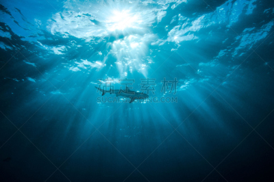 自然,水,水平画幅,蓝色,全景,鲨鱼,chuuk,动物习性,海洋生命,海鱼