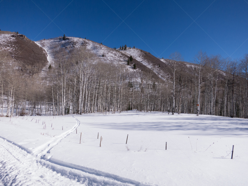 瓦萨屈山脉,雪,日光,清新,有包装的,圣丹斯,穿雪鞋走路运动,粉末状雪,雪山,天空