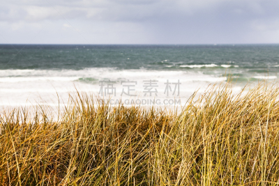 圣艾芙,海湾,格温森,自然,水,康沃尔,水平画幅,地形,沙子,秋天