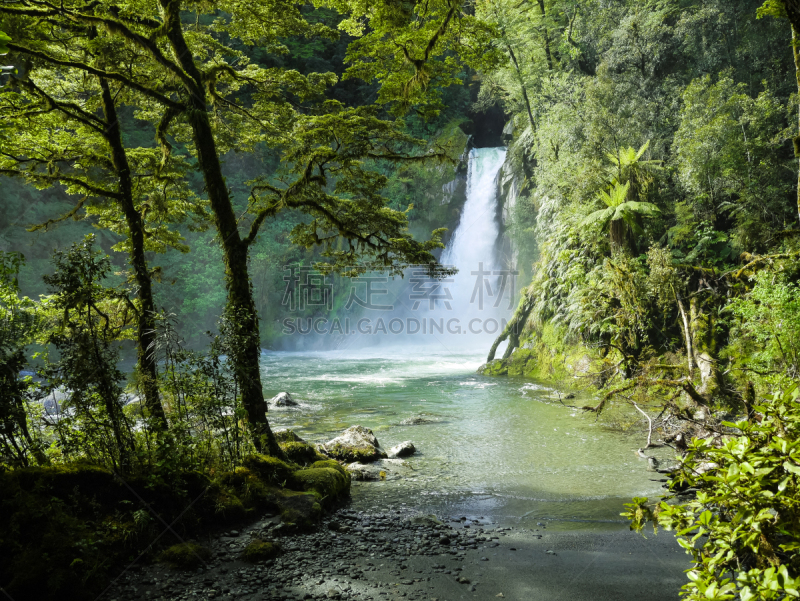 milford track,瀑布,热带雨林,图像,米佛峡湾,新西兰,无人,棕榈树,河流,户外