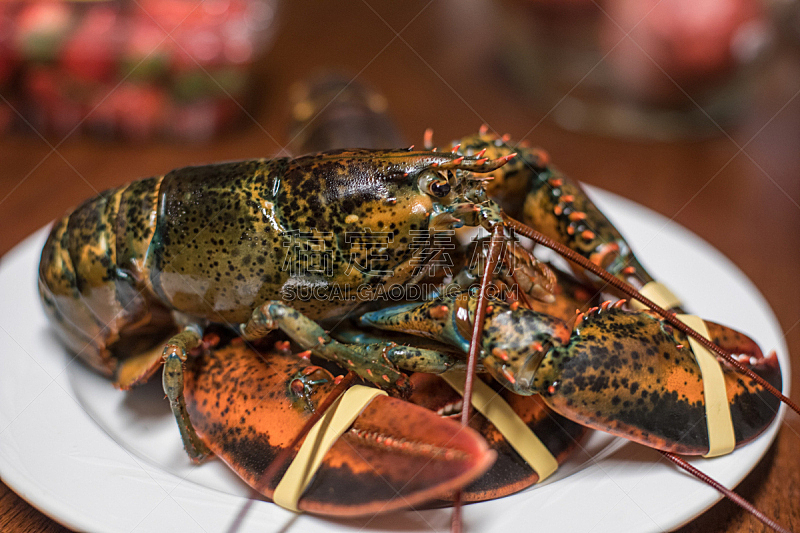动物,龙虾,桌子,生食,白色,红色,活力,清新,华贵,高雅