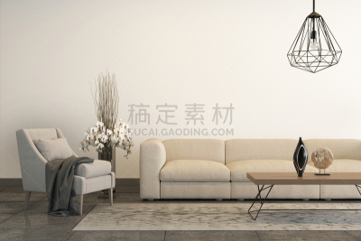 沙发,白色,扶手椅,小毯子,酒店,华贵,花瓶,住宅房间,里面
