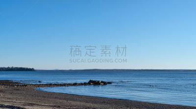 缅因州,冬天,海滩,寒冷,空的,新英格兰,浮标,野生动物,鸟类,沙砾