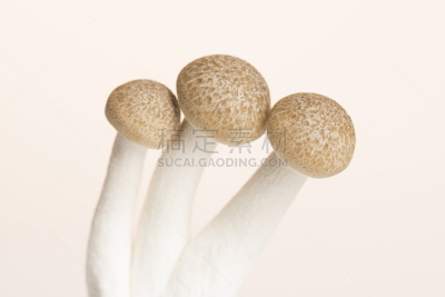 姬菇,牛肝菌,孢子,褐色,水平画幅,无人,山毛榉树,生食,特写,东方食品