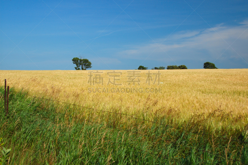 夏天,安大略省,风景,谢尔波尼,风,水平画幅,能源,无人,草原,户外