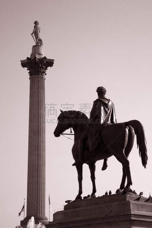 特拉法加广场,英格兰,伦敦,纳尔逊纪念柱,垂直画幅,纪念碑,旅游目的地,无人,广场