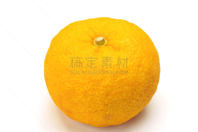香橼,水平画幅,水果,无人,黄色,日本,白色背景,柑橘属,食品,摄影
