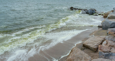 赤潮,海洋,浮游生物繁殖,浮游生物,水,美,水平画幅,睡莲,无人