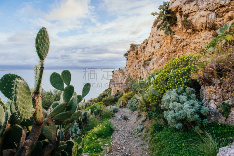 自然美,风景,悬崖,美,草原,水平画幅,山,无人,荆棘,海岬