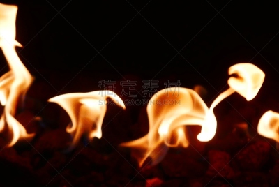 式样,环境,气候,复叶,自然美,树冠,沙漠,热带树,建筑,沙漠绿洲
