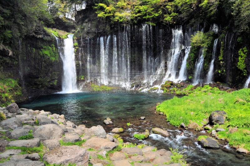 shiraito falls,自然,水,水平画幅,绿色,枝繁叶茂,瀑布,无人,日本,夏天