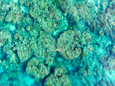 礁石,浮潜,印度尼西亚,人,海洋,旅游目的地,水,瓦卡托比,蓝色,航拍视角
