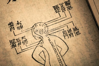 清朝,过时的,书,草药,易经,针灸,中医,图腾柱,中文,以前的