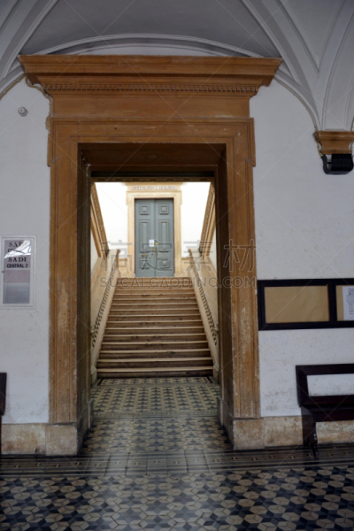 大学,办公室,动物学,科英不拉,科英布拉区,垂直画幅,校园,外立面,建筑,蓝色