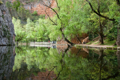 湖,汽车视镜,褪湛寺院,萨拉哥萨,阿拉贡,自然,水平画幅,绿色,地形,林区