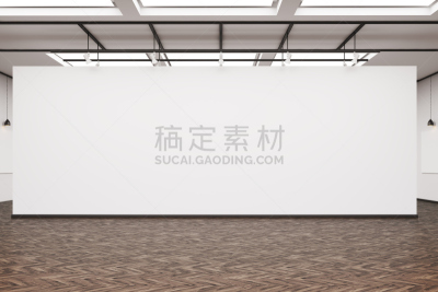 墙,画廊,硬木地板,平衡折角灯,空白的,黑色,白色,天花板,艺术
