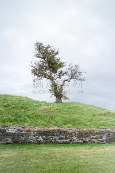 石头,多云,白昼,垂直画幅,天空,公园,暴风雨,石墙,山,树