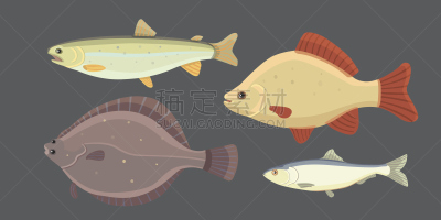 绘画插图,矢量,海洋,动物,鱼类,分离着色,淡水鱼,河流,卡通,布置