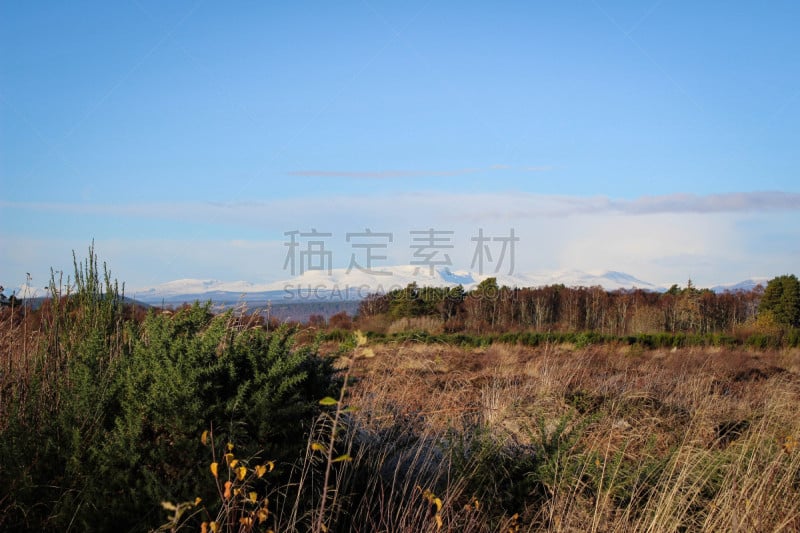 停泊的,风景,卡伦顿,天空,旷野,摩尔人风格,档案,雪,英格兰,夏天