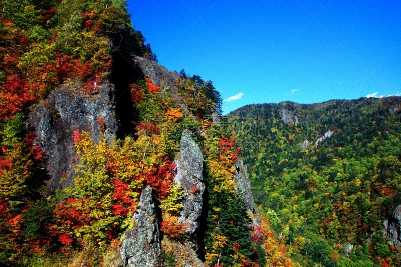 秋天,丹姆,札幌,北海道,温泉,水平画幅,枫叶,无人,枫树,晕影效果