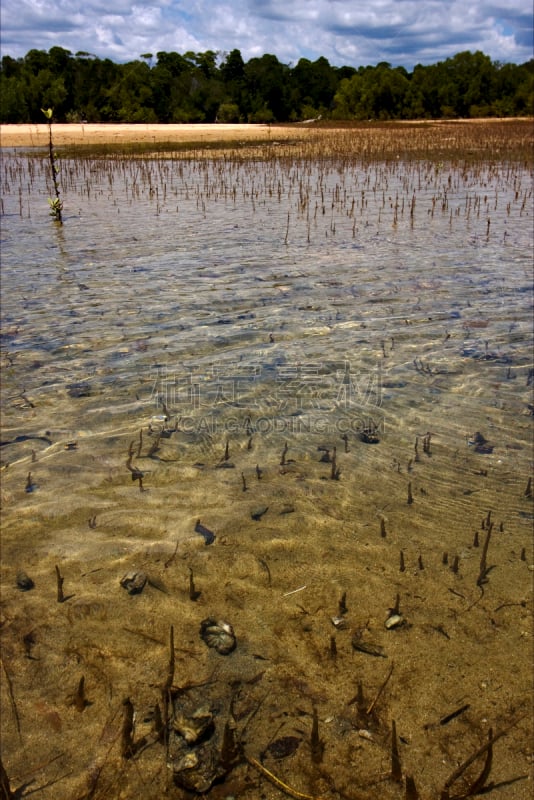 马达加斯加,海岸线,垂直画幅,水,天空,诺兹比,褐色,沙子,无人,户外