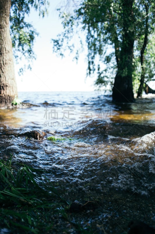 夏天,日光,白昼,地形,河岸,深的,环境,波斯湾,湖,泻湖