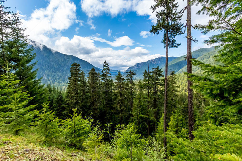 山,草地,华盛顿州,山谷,风景,雷尼尔雪山,天空,美,水平画幅,无人